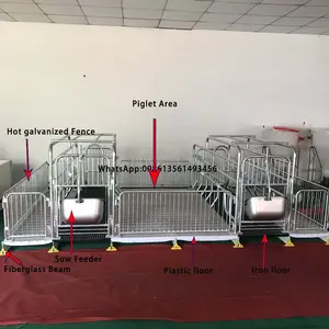China factory pig or sow farrowing stall/crate equipment