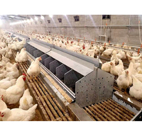 Nichoirs de poulet pour la ponte des œufs Nichoir de ponte automatique des œufs de poule