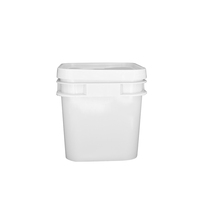 Pengiriman cepat pabrik persegi coklat Jam bisa 5qt/6qt/8qt/9qt/10qt putih plastik makanan saus Pak ember dengan tutup