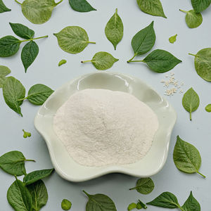 Extracto de pimienta negra de semilla 95% 98% <span class=keywords><strong>Piperine</strong></span> en polvo - Product Image 3