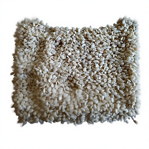 Graines de sésame blanches naturelles, produit agricole de première qualité, marque ECO EXPORT, durée de conservation de 2 ans, emballage en vrac en fût - Product Image 1