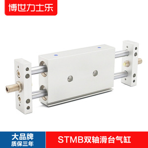 Cilindro Neumático de Doble Eje y Doble Acción STMB, Mesa Deslizante Neumática, 10/16/20/25X50X75X100, Doble Salida - Product Image 5