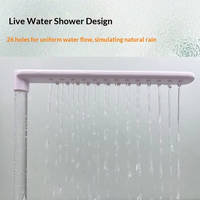 Bassin de bain pour oiseaux avec circulation automatique, chauffage électrique hivernal et débit d'eau, pour perroquets et perruches, avec douche de bain de beauté