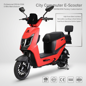 Vélo Électrique OEM 14 Pouces 350W 500W 800W 48V Frein à Tambour 40km Commuter Adultes Ville CE Budget Quotidien Urbain Débutant Longue Portée - Product Image 1