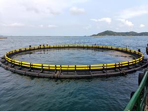 Cage à poissons en HDPE pour échange d'eau optimal accélère la croissance des poissons et augmente la production totale de la ferme. - Product Image 1