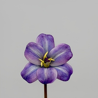 Bouquet de fleurs artificielles en soie violette, lavande, rose, hortensia, orchidée, iris, décoration pour événements de mariage