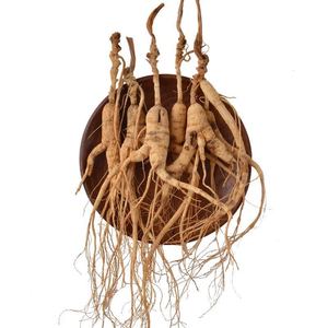 Ginseng Panax kering 20 tahun tumbuh di hutan semi liar ginseng dari pegunungan yang direndam dalam anggur - Product Image 1