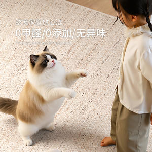 พรมดีไซน์วาบิซาบิ พรมปูพื้นรูปสี่เหลี่ยมผืนผ้า ซักได้ ใช้ในห้องนั่งเล่น ห้องนอน ปูเต็มพื้นที่ ลายแบบนามธรรม ฤดูใบไม้ผลิ 2026 - Product Image 4