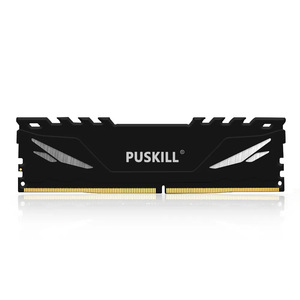 Módulo de Memoria Puskill DDR4 de 8GB y 2400MHz para Escritorio con Disipadores de Calor - Product Image 3