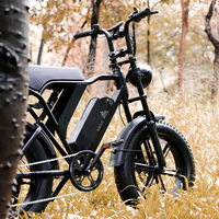 Vélo électrique 48v 15ah 20ah 25km/h 750w 20 pouces avec pneus larges, vélo électrique 750w, vélo électrique en acier, Fatbike adulte, entrepôt européen OEM