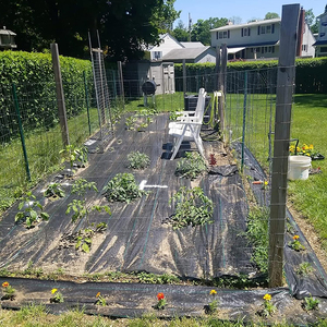 Nhiệm vụ nặng nề Vườn cỏ dại vải PP cỏ dại kiểm soát vải che phủ mặt đất cỏ dại chặn cỏ dại Mat cỏ dại hàng rào cảnh quan vải - Product Image 6