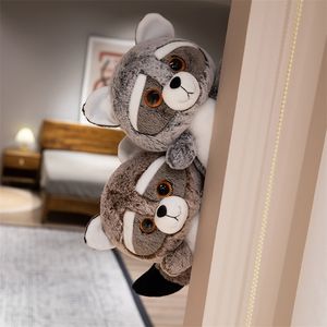 Venta al por Mayor de Lindos Peluches de <span class=keywords><strong>Mapache</strong></span>, Muñeco de Peluche de Algodón PP Súper Suave, Regalo de Cumpleaños para Niños, Animales de Peluche - Product Image 5