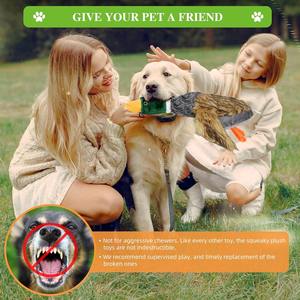 Sıcak satış ördek şekli Squeaky köpek oyuncak yavru yeşilbaş ördek orta küçük köpekler için dolması köpek oyuncaklar - Product Image 5