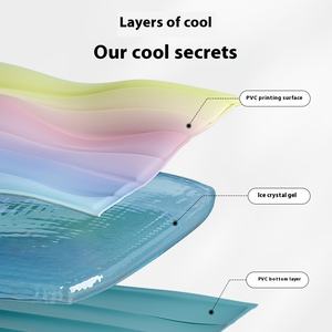 Modernes Regenbogen Gradient PVC Nest Haustier Matte Sommer kaltes Hunde-und Katzen bett Großhandel Produkt mit Tier muster - Product Image 3