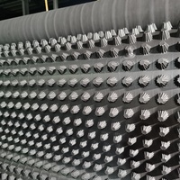Planche de drainage alvéolée en géocomposite avec tissu filtrant pour sous-sol et toit vert