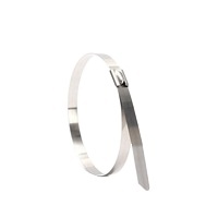 ربطة عنق معدنية مغلفة بالخدمة الشاقة SS304/من الفولاذ المقاوم للصدأ بسحاب ذاتي القفل - Product Image 2