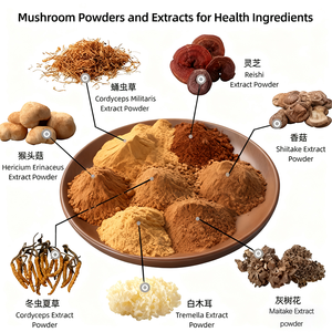 <span class=keywords><strong>Maitake</strong></span> chiết xuất bột polysaccharides <span class=keywords><strong>Beta</strong></span>-<span class=keywords><strong>Glucan</strong></span> <span class=keywords><strong>maitake</strong></span> chiết xuất - Product Image 3