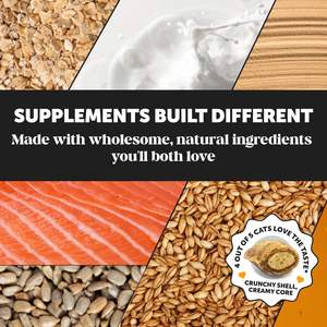 Suplemen hipoalergenik dukungan lisin kucing bebas biji-bijian perawatan kesehatan hewan peliharaan & suplemen kucing Senior ODM makanan kucing - Product Image 5