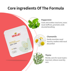 Cerotti Nasali IERLEI con Ingredienti Naturali Cinesi per Alleviare la Congestione Nasale, Migliorare la Respirazione, Favorire il Sonno e Ridurre il Russare - Product Image 3