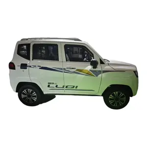 Best Price New Energy Vehicles Eec Electric Cars Electric Cars Adults Vehicle