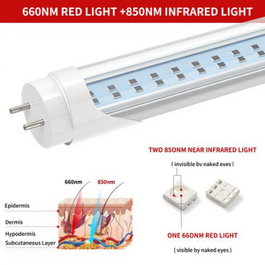 <span class=keywords><strong>Tubo</strong></span> de luz roja 5 longitud de onda 605nm 635nm 660nm 810nm 850nm 940nm 100W G13 T12 T8 reemplazo fluorescente para cama de bronceado Sauna - Product Image 6