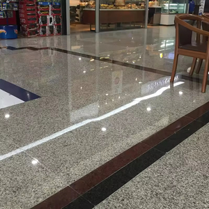 Machine à polir les sols T1 pour l'entretien des carreaux et des tapis, machine à poncer et polir les sols en terrazzo T1 - Product Image 6