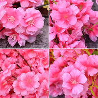 Pohon Ceri Plum Bunga Persik Dekoratif Bunga Pernikahan Tanaman Thanksgiving Berbagai Jenis Sutra Buatan Sakura