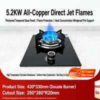 Cuisinière à gaz naturel/gaz liquéfié à flamme haute, brûleur unique, 5200W, économie d'énergie, allumage électronique pulsé, cristal noir