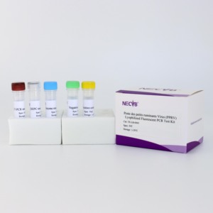 Kit <span class=keywords><strong>de</strong></span> detección <span class=keywords><strong>de</strong></span> ácido nucleico PPRV (RT-qPCR liofilizado, 50T/Kit)-para diagnóstico veterinario - Product Image 2