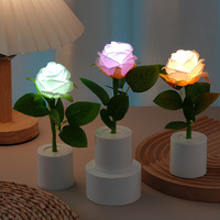 Nouvelle Lampe LED Rose Transfrontalière Best-seller, Cadeau Saint-Valentin, Matériau ABS, Lampe de Bureau Ambiante Moderne et Simple en Forme de Pot de Fleurs