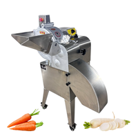 Industriële machine voor het snijden van aardappelchips, elektrische diepvriesvleesblokjes en groenten.
