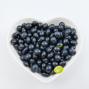 Venta directa <span class=keywords><strong>de</strong></span> fábrica Nueva cosecha Lenteja negra Frijol negro - Product Image 6