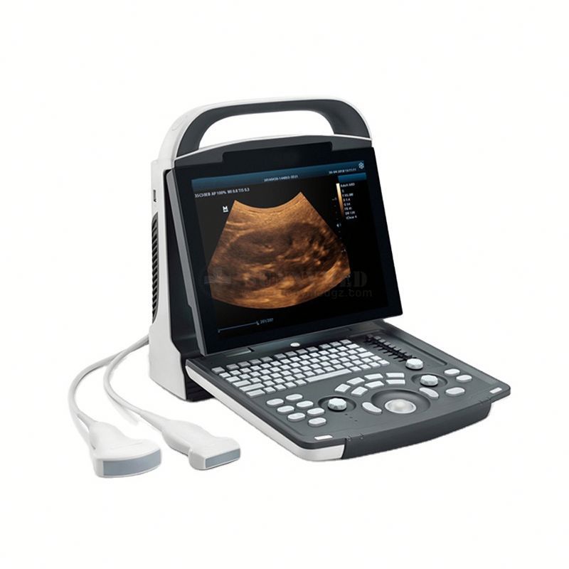 Digital Diagnostic Portable Black White Ultrasound