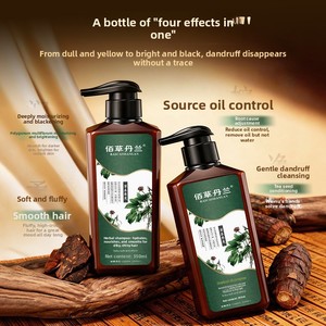 Shampooing Rafraîchissant à l'Essence de Gingembre et Polygonum Multiflorum, Anti-Pelliculaire, Hydratant et Régulateur de Sébum - Product Image 2