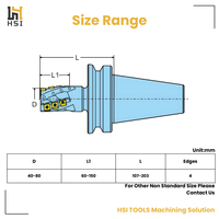 Porte-outil de fraisage puissant BT40 pour fraiseuse CNC, pour fraisage de face grossier avec plaquettes indexables et trous de refroidissement traversants