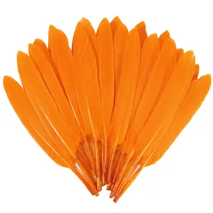 红橙色鹅毛DIY装饰4-6英寸哥特式服装工艺品