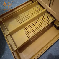 Matériel d'apiculture en polystyrène plastique, ruches Langstroth en plastique pour Apis Mellifera