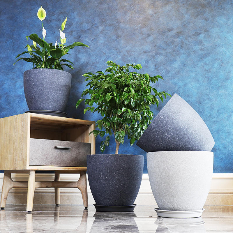 blumenkästen weiß bepflanzt Balkonbox Royal White kaufen main image 1