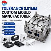 Tolerancia de 0.01 mm, Fabricante de Moldes Personalizados, Diseño de Piezas de Carcasa de ABS, Moldeo por Inyección para Electrodomésticos, Molde TOPWELL