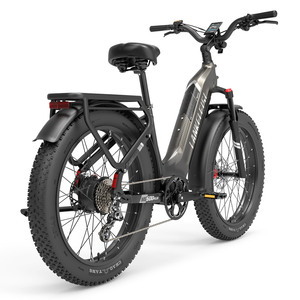 Vélo électrique tout-terrain gris MG600 PLUS 2025 avec moteur brushless 1000W, batterie lithium 48V, suspension avant et pneus larges étanches - Product Image 2