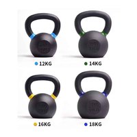 Ensemble de kettlebells de luxe NQ SPORTS 16 kg, 24 kg, 32 kg, kettlebells réglables remplis de sable pour la salle de sport à domicile, équipement de fitness