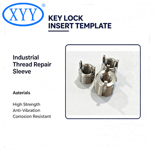 Medical Grade TA2 Pure Titanium Key <strong>Lock</strong> Insert Non-toxic Anti-rust <strong>Thread</strong> Repair Keensert - Product Image 2