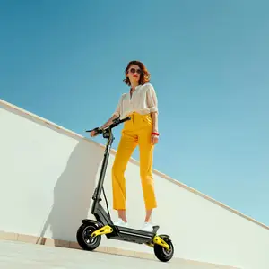 EU Stock 48V 20AH 25KM/H Stand-up Moped with Bluetooth Link APP and Dual Suspension, Lightweight Electric Scooter
