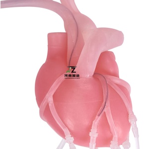 Khoa học y tế tim can thiệp đào tạo mô phỏng cho giảng dạy mô phỏng cao tim PCI mô phỏng Đào Tạo - Product Image 3