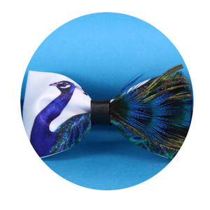 Papillon Elegante <span class=keywords><strong>di</strong></span> Alta Qualità in Piume <span class=keywords><strong>di</strong></span> Pavone Bianche Fatte a Mano per <span class=keywords><strong>Uomo</strong></span> - Product Image 3