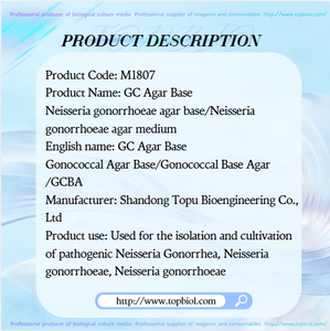 Base <span class=keywords><strong>de</strong></span> <span class=keywords><strong>Agar</strong></span> GC / Base <span class=keywords><strong>de</strong></span> <span class=keywords><strong>Agar</strong></span> Gonorroica / GCBA para la aislamiento y <span class=keywords><strong>cultivo</strong></span> <span class=keywords><strong>de</strong></span> <span class=keywords><strong>bacterias</strong></span> patógenas <span class=keywords><strong>de</strong></span> Neisseria - Product Image 2