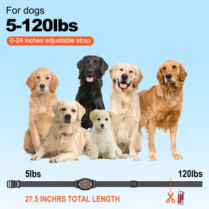 <span class=keywords><strong>Collar</strong></span> de entrenamiento electrónico recargable inteligente repelente de perros de plástico resistente al agua IP67 respetuoso con el medio ambiente personalizado - Product Image 5