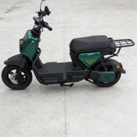 Bicicleta Eléctrica Económica de 1000w 48v con Pedales, Scooter Eléctrico, Bicicleta Eléctrica