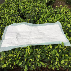 Pañales para adultos Anjieshuang 60x90 talla L, súper absorbentes, desechables, para incontinencia, para hombres y mujeres - Product Image 1