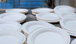 100% Biodegradable Bagasse <b>Disposable</b> Dinner Plates Eco-Friendly Sugarcane Round <b>Tableware</b> for Takeaway Events Catering - Product Image 2